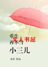 重生再不当小三儿TXT全集封面