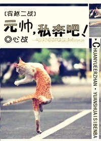 Ԫ˧,˽���ɣ�TXTȫ������