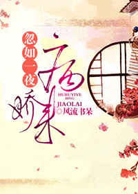 ����һҹ������TXTȫ������