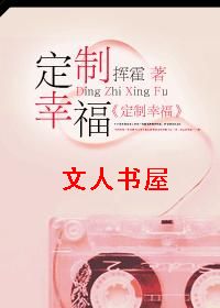 定制幸福TXT全集封面