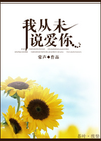 我从未说爱你TXT全集封面