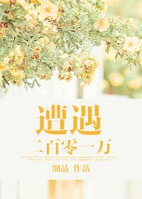 遭遇二百零一万TXT全集封面