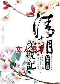 清朝旁观记TXT全集封面