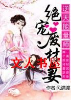 ��������ʦ:����ϲ���TXTȫ������