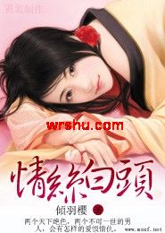 青丝白头TXT全集封面