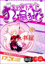 天上掉下来个九尾狐TXT全集封面