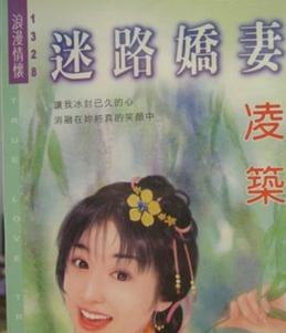 迷路娇妻TXT全集封面