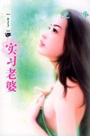 实习老婆TXT全集封面