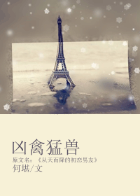 凶禽猛兽TXT全集封面