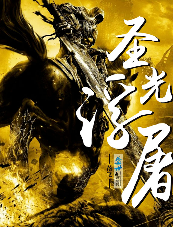 圣光浮屠TXT全集封面