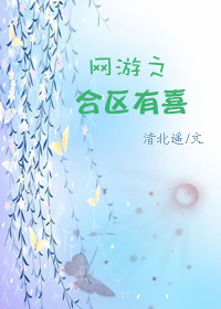 网游之合区有喜TXT全集封面