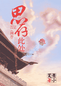 思存此处TXT全集封面