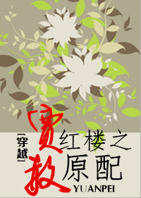 穿越红楼之贾赦原配 作者:梅雨季节情TXT全集封面