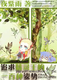 (魔戒同人)追求精灵王的一百种姿势TXT全集封面