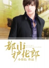 都市护花郎TXT全集封面