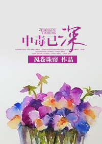 中毒已深TXT全集封面