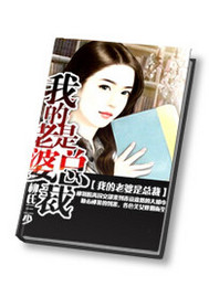 我的老婆是总裁TXT全集封面