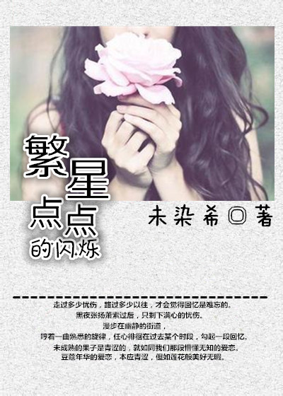 繁星点点的闪烁TXT全集封面