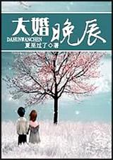 大婚晚辰TXT全集封面