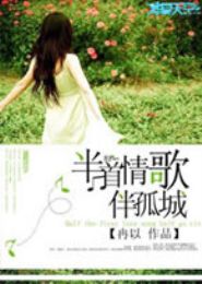 半首情歌伴孤城TXT全集封面
