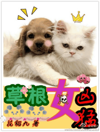 Ů��������TXTȫ������