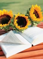 Ӳ������