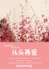 从头再爱TXT全集封面