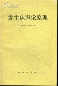 ������ʶ��ԭ��