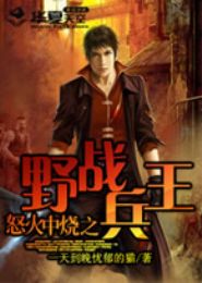 怒火中烧之野战兵王TXT全集封面