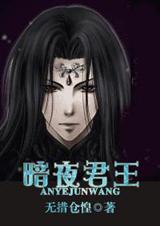 ��ҹ���� ����+����ϵ��TXTȫ������