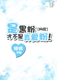 是黑粉才不是真爱粉!TXT全集封面