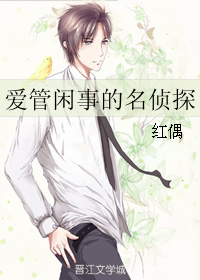 爱管闲事的名侦探TXT全集封面