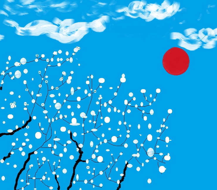 �����ƺ�