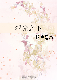 浮光之下TXT全集封面