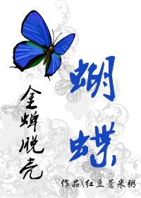 (金蝉脱壳同人)金蝉脱壳之蝴蝶TXT全集封面