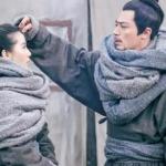 (女医明妃传同人)女医明妃传番外之半缘修道半缘君TXT全集封面