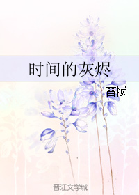 时间的灰烬TXT全集封面