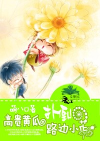 高贵黄瓜扑倒路边小花TXT全集封面