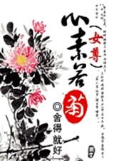 女尊:心素若菊TXT全集封面