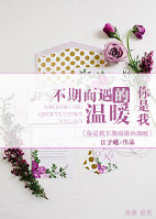 你是我不期而遇的温暖TXT全集封面