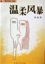 温柔风暴TXT全集封面
