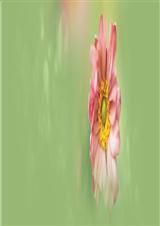 ���ñ���TXTȫ������