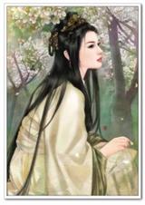 命定宫斗TXT全集封面