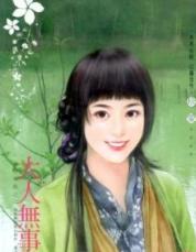 大人无事忙TXT全集封面