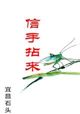 信手拈来TXT全集封面