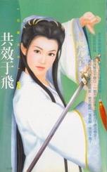 共效于飞TXT全集封面