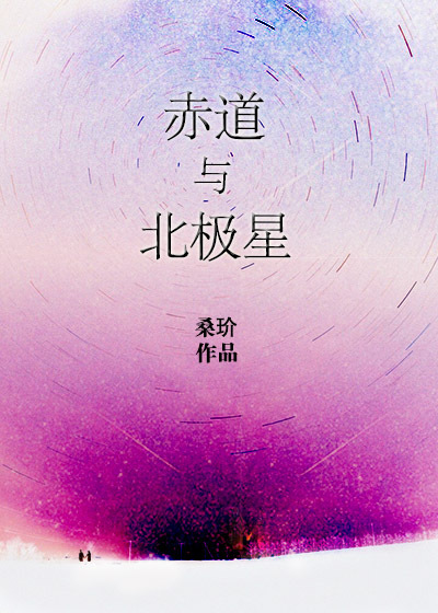 赤道与北极星TXT全集封面