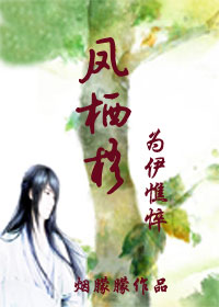 凤栖梧-为伊憔悴TXT全集封面