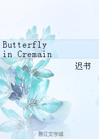 butterfly in cremainsTXTȫ������