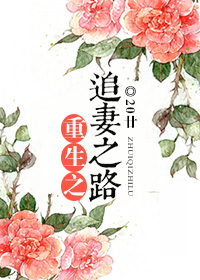 ����֮׷��֮·TXTȫ������